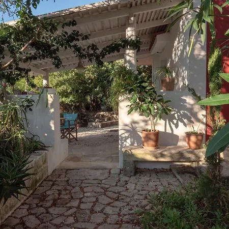 Aloni Retreat